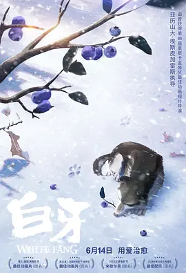 港台一级片